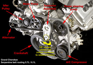 serpentine belt 5.7L / 6.1L